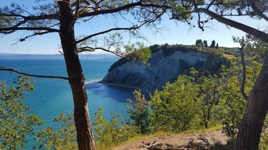 דירות Amazing View Pirano מראה חיצוני תמונה
